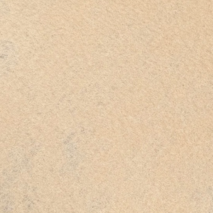 TPZN-AU-LIGHT CAMEL